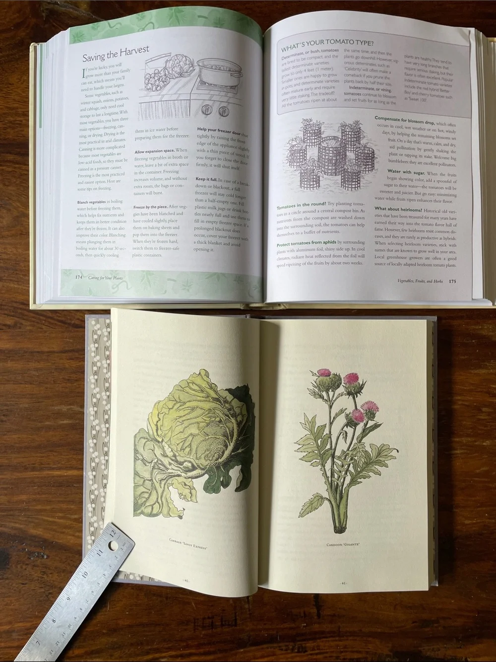 2 Hardcover Books Reader’s Digest Gardening Secrets + 75 Exciting Vegetables